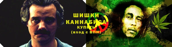 стаф Горнозаводск