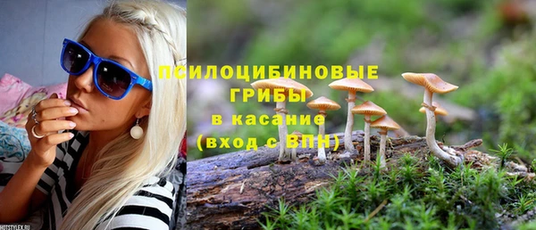 гашик Горно-Алтайск