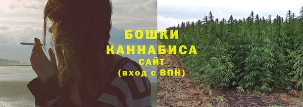 гашик Горно-Алтайск